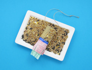 bird feeders for kids 07