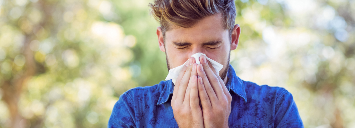 hay fever symptoms