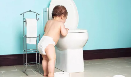A toddler looking inside the toilet