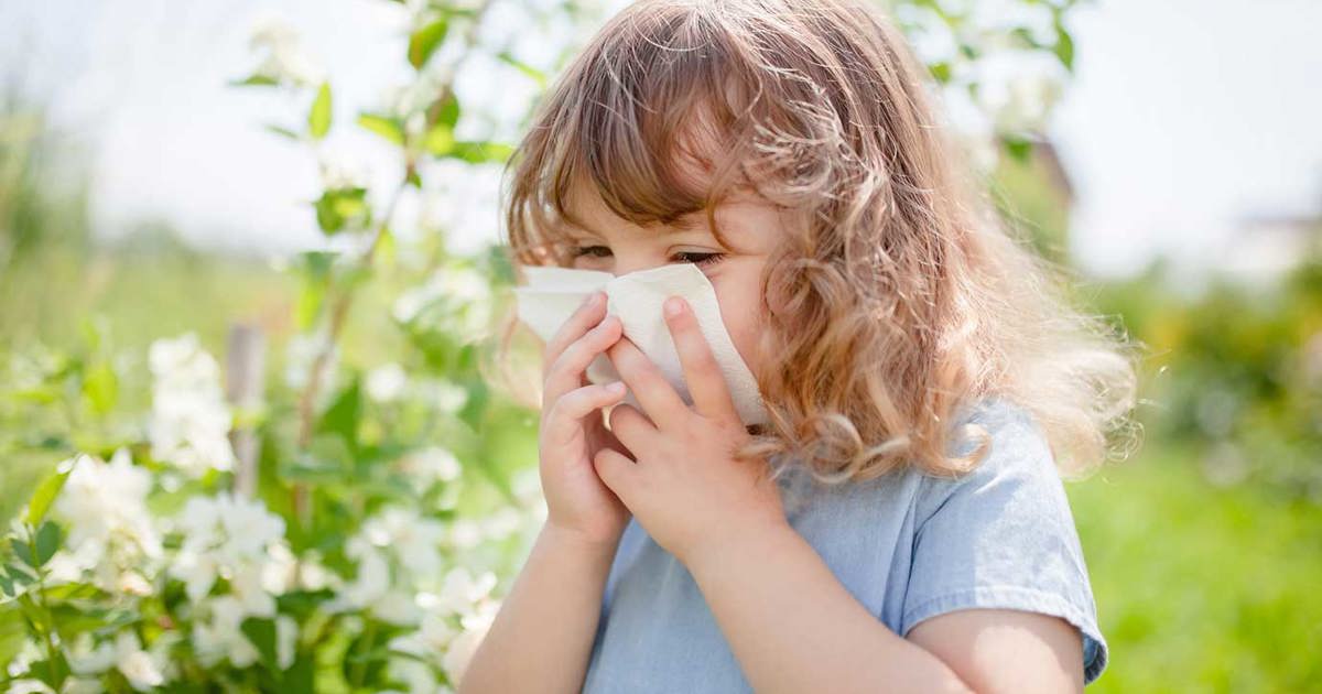 Hay Fever in Young Children How to Cope Cushelle