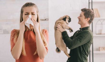 Woman sneezing while man holds a pug in the background