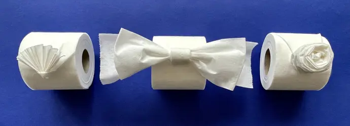 How to make toilet paper origami